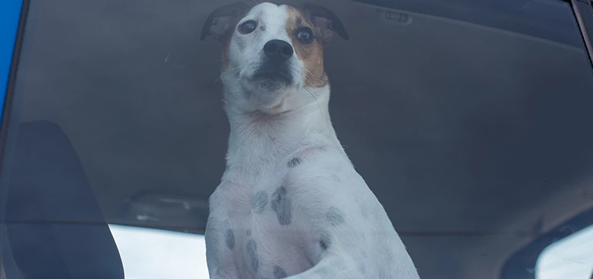 Car Lockout Solutions in Templeton, California